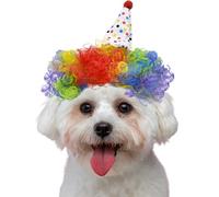 Corlorful Funny pet Wig - Pet Birthday Party Suit Fit - Cat & Dog Costume for Halloween Photo Shoots - - Fits 5kg-50kg Pets