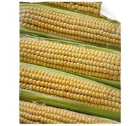 Corn Blanket Funny Food Throw Blanket for Sofa Chairs Bed, Good Blanket Gift, Lightweight Soft and Cozy 80" x 60" for Adult