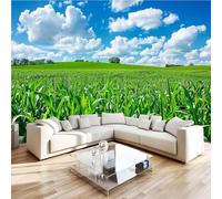 Corn Countryside 3D Photo Wallpaper Non-Woven Wall Mural Nature Scenery Wall Mural Decoration Poste Premium Wallpaper Wall Art for Living Room Bedroom W300xH210 9yf37