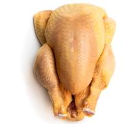 Corn-Fed Poussin by London Grocery, Pack of 3 Birds, Chilled, UK Origin, Young Chicken for Roasting, Grilling or Braising