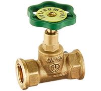CORNAT T571321 Straight-Run Globe Valve, Brass, 1/2", Clear