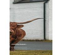 Cornell Notes Notebook: Gorgeous Cornell Note Paper Notebook. Great Large College Ruled Medium Lined Journal Note Taking System For Office, College And School Snappy Pink Flamingo At Daytime