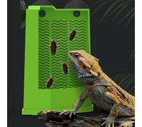 Corner Reptiles Feeder Box With Suction Cups Wall Mounted Terrariums Feeding Dish For Lizards Pet Supply Terrariums Feeder