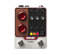 Cornerstone Nucleo Stereo Reverb Paul Davids Signature