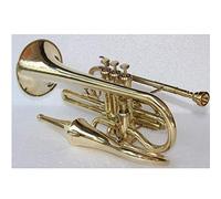 Cornet Sai 4 Valve With Mute Shinning Brass M/P + Mute + Bag