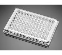 Corning Falcon 353075 96 Well Plate with Lid, Cell Clear Flat Bottom TC Treated Culture, Sterile (Pack of 50)