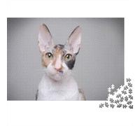 Cornish Rex Cat 1000-Piece Puzzle for Adults, 70x50cm/1000pcs; White Card Pieces for A Neat Table; to Return to Whenever Time Permits