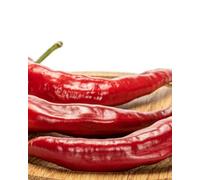 Corno Di Toro Rosso Sweet Italian Red Pepper Seeds - Easy Grow High Yield Culinary Garden - Thompson & Morgan