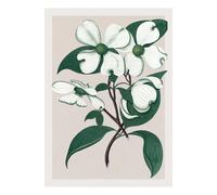 Cornus Florida poster Multicoloured 30x40