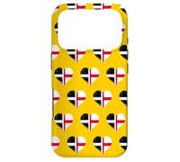 Cornwall England Flag St George's Cross Proud Cornish Roots Case for iPhone 17 Pro