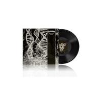 Dissonance Theory [VINYL]