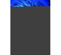 Corporate Finance, 4e