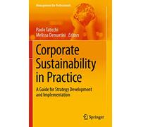 Corporate Sustainability in Practice: A Guide for Strategy Development and Implementation (Management for Professionals)