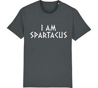 Corporate Togs I AM Spartacus Movie Kirk Douglas Film Retro Funny T-Shirt, X-Large, Grey