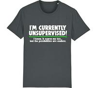 Corporate Togs I'm Currently Unsupervised T-Shirt Funny Rude Offensive Joke Novelty, X-Large, Grey
