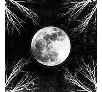 Corpus Christii - Pale Moon