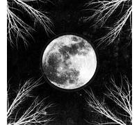 Corpus Christii - Pale Moon [VINYL]