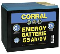 Corral Zinc-Carbon 55 Ah 9V Dry Battery - Single