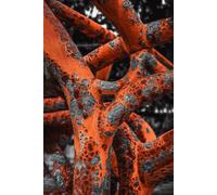 Corrosion Geometry: 6 x 9 College Ruled Notebook - 200 Pages | Abstract Industrial Decay Cover