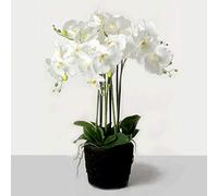 Corsage Creations Artificial Real Touch Potted White Orchid Plant in Moss Style Pot x 58cm