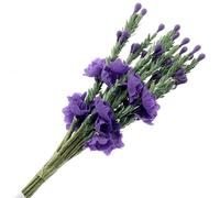 Corsage Creations - Heather - Purple (6 bunches x 12 stems)