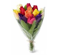 Corsage Creations Mixed Colour Tulip Bunch - Mulitcoloured (12 heads, 38cm long)