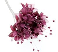 Corsage Creations - Pearled Baby's Breath - Burgundy (6 bunches x 12 stems)