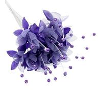 Corsage Creations - Pearled Baby's Breath - Purple (6 bunches x 12 stems)