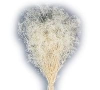 Corsage Creations - Preserved Gypsophila Mini - White (40/50cm tall, 100g per pk)