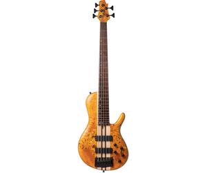 Cort A5 Plus SC Amber Open Pore 5-String Electric Bass Guitar with Soft Case
