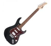 Cort G110 Open Pore Black