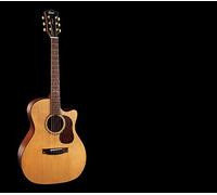 CORT Gold A6 Western Guitar