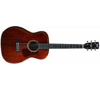 Cort Luce L450C Guitar