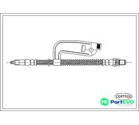 CORTECO FRONT RIGHT BRAKE HOSE 19032885 FOR FORD
