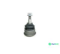 CORTECO FRONT RIGHT LEFT BALL JOINT 49395946