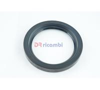 CORTECO Oil Seal Ring 01000368B 75x100x13mm NBR