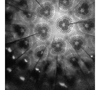 Cory Allen - The Source