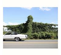 Cory Branan - When I Go I Ghost [VINYL]