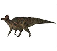 Corythosaurus is a herbivorous duck-billed dinosaur that lived in North America during the Cretaceous Period Poster Print (32 x 24)