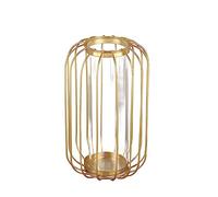 Cosiki "Nordic Lantern Shaped Wrought Iron Vase Glass for Home Decoration, Clear Glass Hydroponic Terrarium for Wedding Decoration" (Champagne gold trumpet)