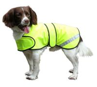 Cosipet Safety Coat, 14-inch/ 35 cm, Yellow