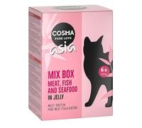 Cosma Pouches in Jelly Wet Cat Food Asia Mixed Pack (6 Varieties) 24 x 100g