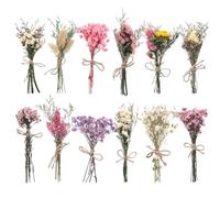 Cosmeria Dried Flower Bouquet Set of 12, Natural Dried Flower Decor with Lavender, Daisies and Forget-Me-Nots, Versatile for Home, Office