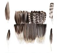 Cosmeria Feathers For Crafting, White Feathers For Dreamcatchers And Creative Projects, Ideal For Decorating And Crafting For All Ages
