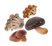 COSMEVIVI 4pcs Educational Toy Set Realistic Mushroom Growth Cycle Models for Boys and Girls Cognition