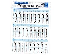 COSMEVIVI 8-hole Bass Recorder Fingering Chart and Chord Poster for Beginner Students, Vertical Flute Practice Diagram Low Pitch Notation, Music Training Guide for Uk Schools