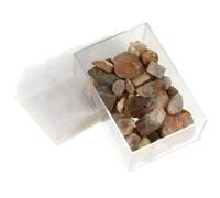 COSMEVIVI Natural Mineral Stone Collection Specimen Stones Assorted Colors and Synthetic Material for School Education and Decoration Use
