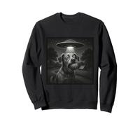 Cosmic Fetch Encounter - UFO Dog Moment Sweatshirt