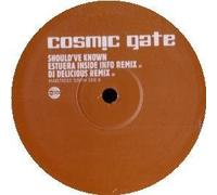 Cosmic Gate Ft Tiff Lacey - Should Have Known [DISC 2] [12" VINYL]