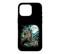 Cosmic Howling Hadeda I irds Under Full Moon Night Case for iPhone 16 Pro